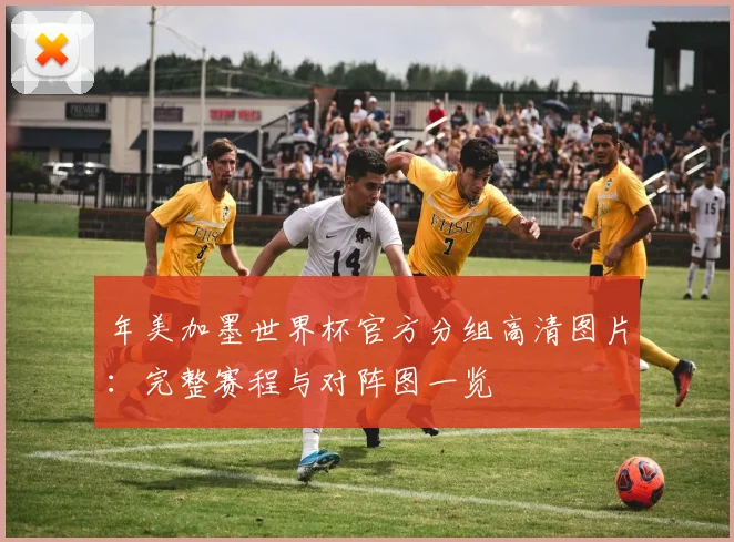 年美加墨世界杯官方分组高清图片：完整赛程与对阵图一览