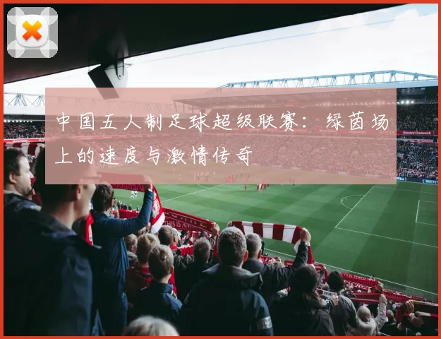 中国五人制足球超级联赛：绿茵场上的速度与激情传奇